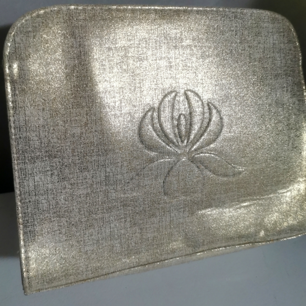 Shimmer Sisley Makeup Bag